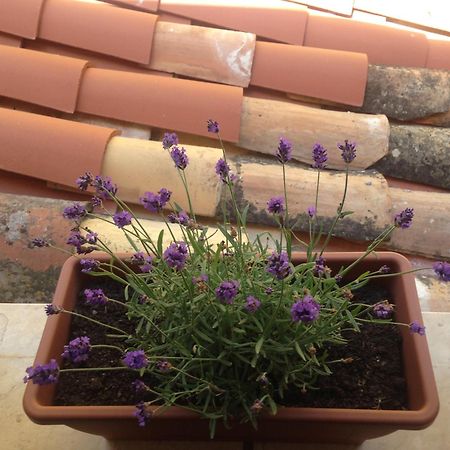 הוילה צ'פאלו Gerani House מראה חיצוני תמונה